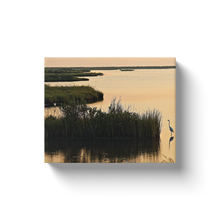 Load image into Gallery viewer, Egrets Around The Marsh - Canvas Wraps
