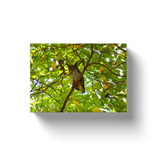Load image into Gallery viewer, Tree Owl - Canvas Wraps
