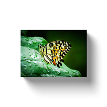 Load image into Gallery viewer, Multicolor Butterfly - Canvas Wraps
