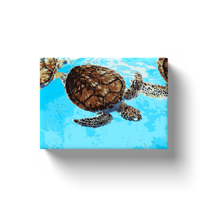 Turtle Art - Canvas Wraps