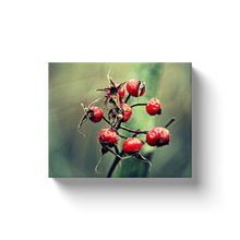 Load image into Gallery viewer, Wild Berries - Canvas Wraps
