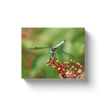 Load image into Gallery viewer, Perched Dragonfly - Canvas Wraps
