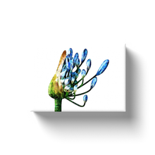 Load image into Gallery viewer, Blue Watercolor Flower - Canvas Wraps
