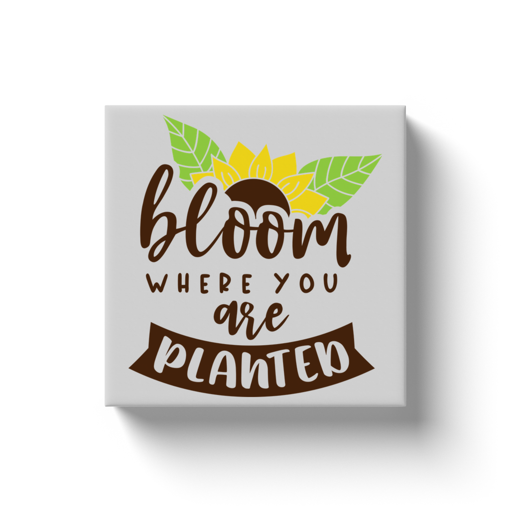 Bloom Where You Are - Canvas Wraps