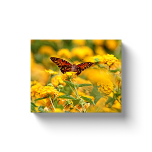 Butterfly On Yellow Flowers - Canvas Wraps