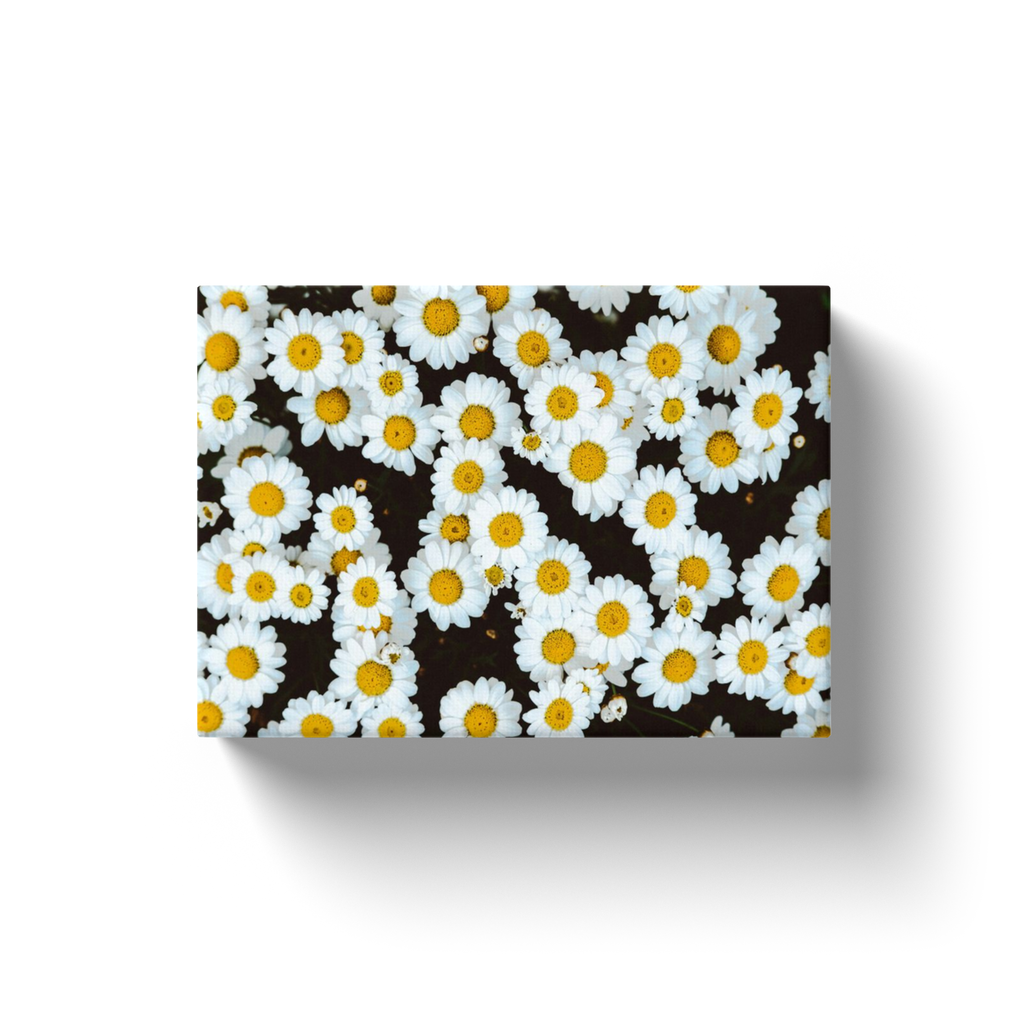 Pattern Of Flowers - Canvas Wraps