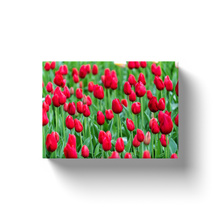 Load image into Gallery viewer, Red Tulips - Canvas Wraps
