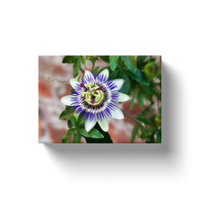 Load image into Gallery viewer, Passion Flower - Canvas Wraps
