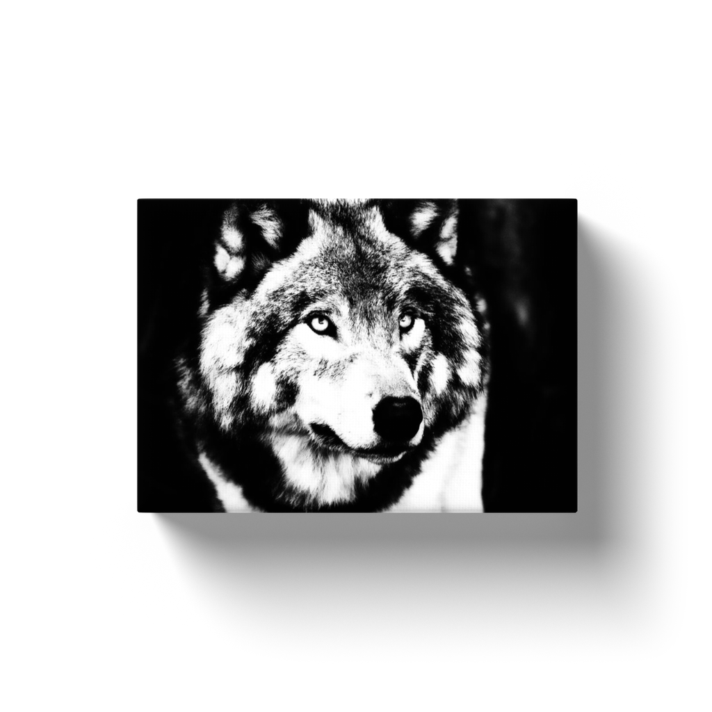 Wolf Sideview - Canvas Wraps