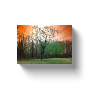 Mystical Tree - Canvas Wraps