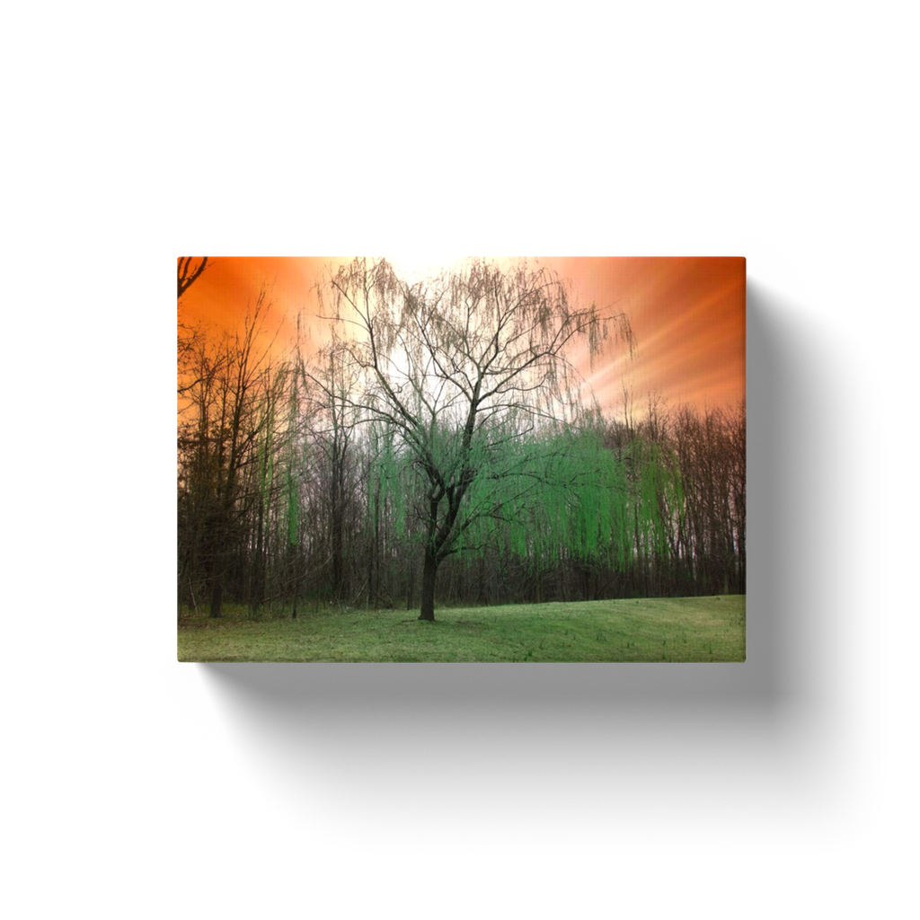 Mystical Tree - Canvas Wraps