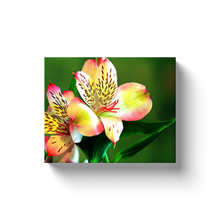 Load image into Gallery viewer, Flower Bloom - Canvas Wraps
