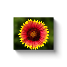 Load image into Gallery viewer, Blanket Flower - Canvas Wraps
