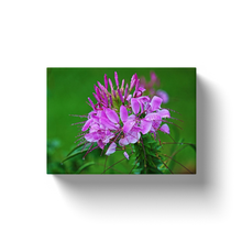 Load image into Gallery viewer, Purple Plant - Canvas Wraps
