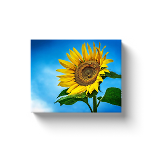 Sunflower And Clouds - Canvas Wraps