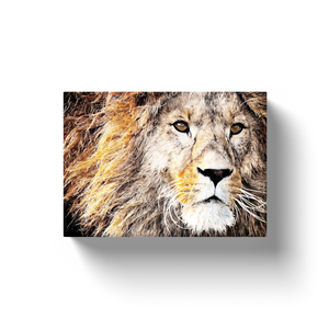 Lion Sketch - Canvas Wraps