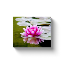 Load image into Gallery viewer, Pink Water Lilly - Canvas Wraps
