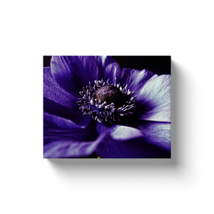 Lavender Flower - Canvas Wraps