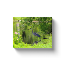 Load image into Gallery viewer, Heron Under A Bush - Canvas Wraps
