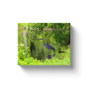 Heron Under A Bush - Canvas Wraps
