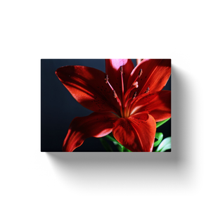 Red Flower - Canvas Wraps