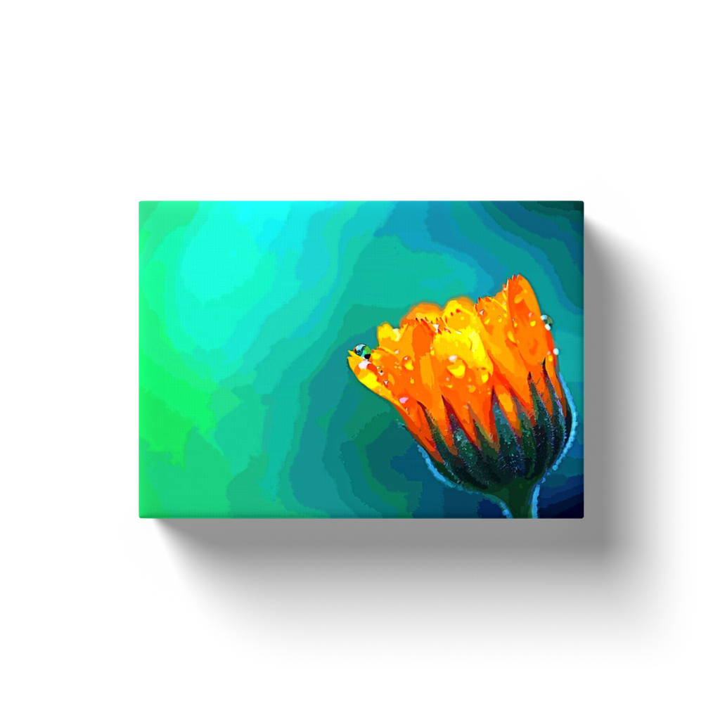 Flower With Waterdrops - Canvas Wraps