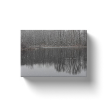 Load image into Gallery viewer, Winter Lake Ducks - Canvas Wraps

