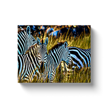 Load image into Gallery viewer, Zebras In The Wild - Canvas Wraps
