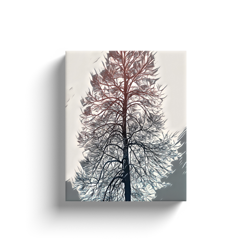 Tree Sketch - Canvas Wraps