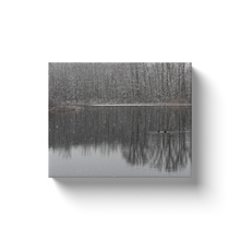 Load image into Gallery viewer, Winter Lake Ducks - Canvas Wraps
