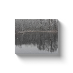 Winter Lake Ducks - Canvas Wraps