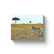 Load image into Gallery viewer, Zebras - Canvas Wraps
