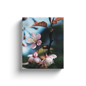 Blossom Blum - Canvas Wraps