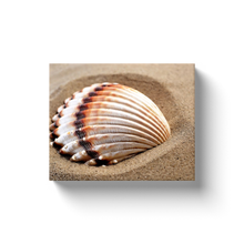 Load image into Gallery viewer, Shell In The Sand - Canvas Wraps
