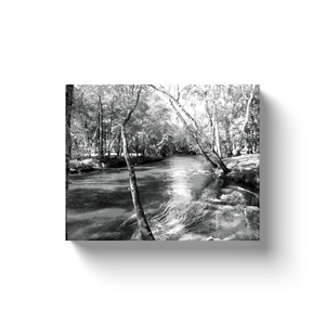 Local Stream - Canvas Wraps