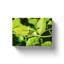 Load image into Gallery viewer, Green Dragonfly - Canvas Wraps
