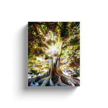 Load image into Gallery viewer, Magical Tree - Canvas Wraps
