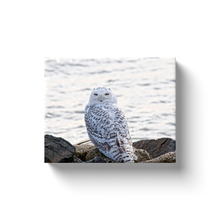 Load image into Gallery viewer, Snowy Owl On The Bay - Canvas Wraps
