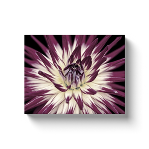 Purple Flower Art - Canvas Wraps