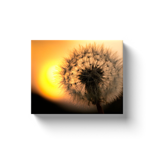 Sunrise Dandelion - Canvas Wraps