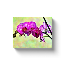 Load image into Gallery viewer, Blooming Flowers - Canvas Wraps
