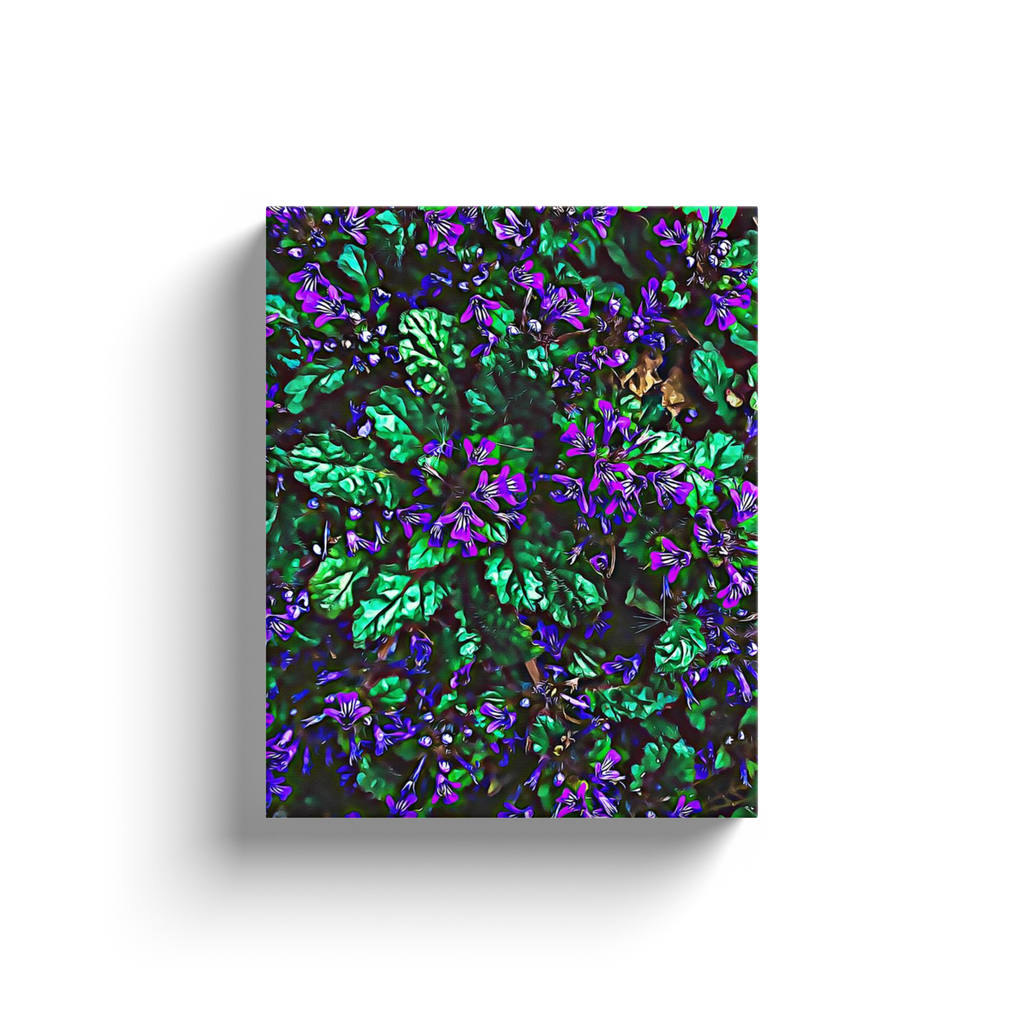 Purple Petaled Flowers - Canvas Wraps