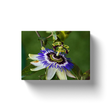 Load image into Gallery viewer, Purple Passion Flower - Canvas Wraps
