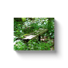Load image into Gallery viewer, Overgrown Bench - Canvas Wraps
