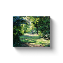 Load image into Gallery viewer, Secret Woods - Canvas Wraps
