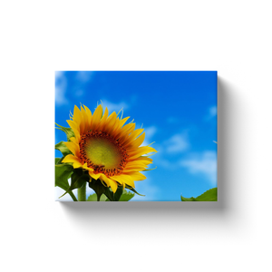 Bee On A Sunflower - Canvas Wraps