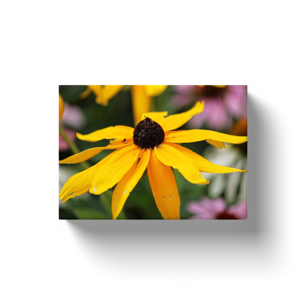 Yellow Flower - Canvas Wraps