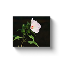 Load image into Gallery viewer, Flower With Black Background - Canvas Wraps
