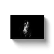 Load image into Gallery viewer, Horse Portrait - Canvas Wraps
