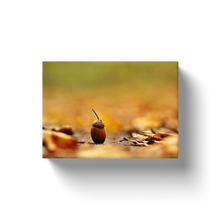 Load image into Gallery viewer, Brown Acorn - Canvas Wraps
